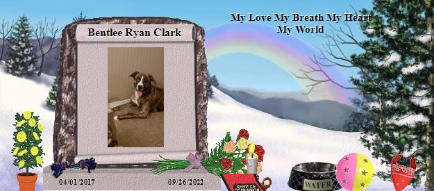 Bentlee Ryan Clark's Rainbow Bridge Pet Loss Memorial Residency Image