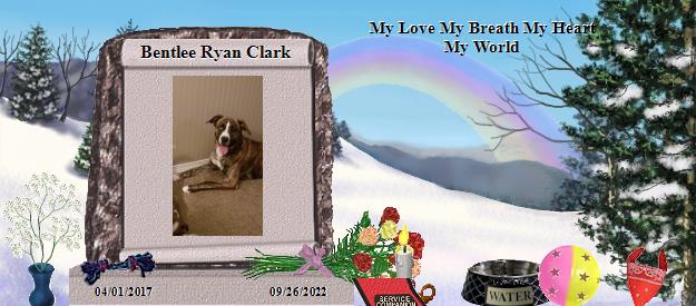 Bentlee Ryan Clark's Rainbow Bridge Pet Loss Memorial Residency Image
