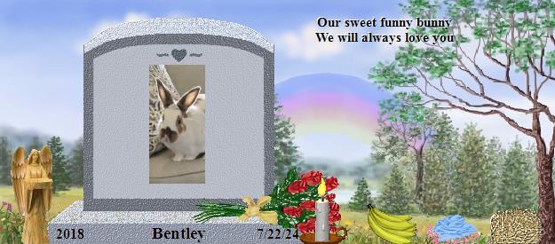 Bentley's Rainbow Bridge Pet Loss Memorial Residency Image