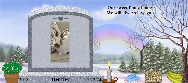 Bentley's Rainbow Bridge Pet Loss Memorial Residency Image