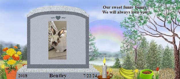 Bentley's Rainbow Bridge Pet Loss Memorial Residency Image