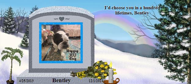 Bentley's Rainbow Bridge Pet Loss Memorial Residency Image