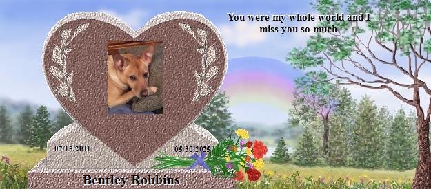 Bentley Robbins's Rainbow Bridge Pet Loss Memorial Residency Image