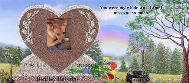 Bentley Robbins's Rainbow Bridge Pet Loss Memorial Residency Image
