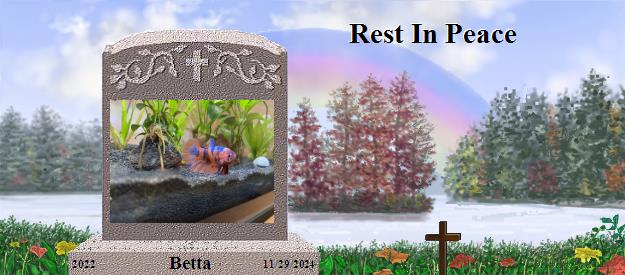 Betta's Rainbow Bridge Pet Loss Memorial Residency Image