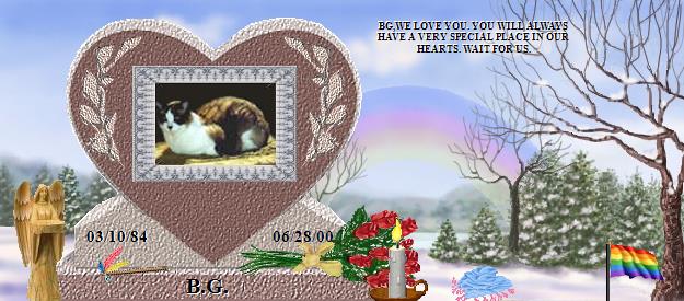 B.G.'s Rainbow Bridge Pet Loss Memorial Residency Image