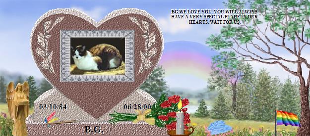 B.G.'s Rainbow Bridge Pet Loss Memorial Residency Image