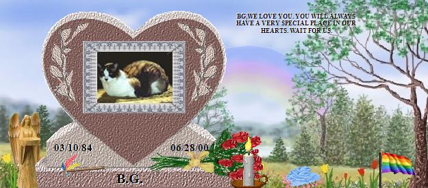 B.G.'s Rainbow Bridge Pet Loss Memorial Residency Image