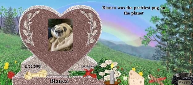 Bianca's Rainbow Bridge Pet Loss Memorial Residency Image