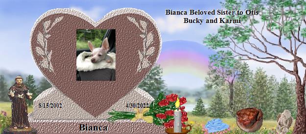 Bianca's Rainbow Bridge Pet Loss Memorial Residency Image