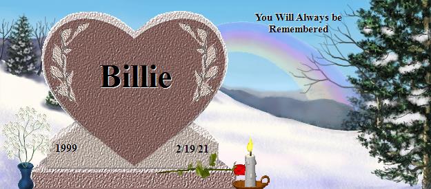 Billie's Rainbow Bridge Pet Loss Memorial Residency Image