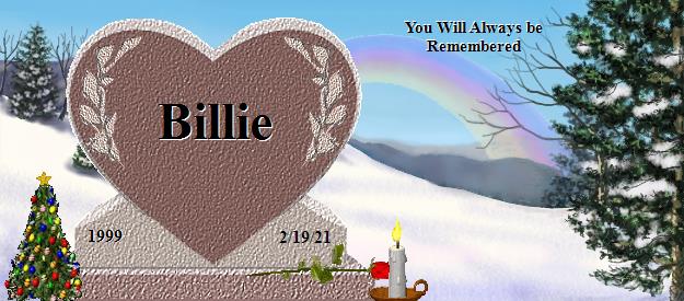 Billie's Rainbow Bridge Pet Loss Memorial Residency Image