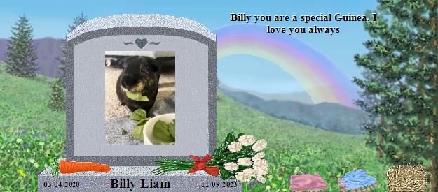 Billy Liam's Rainbow Bridge Pet Loss Memorial Residency Image