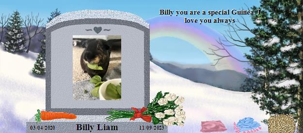 Billy Liam's Rainbow Bridge Pet Loss Memorial Residency Image