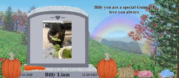 Billy Liam's Rainbow Bridge Pet Loss Memorial Residency Image