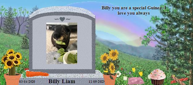 Billy Liam's Rainbow Bridge Pet Loss Memorial Residency Image