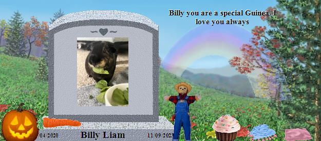 Billy Liam's Rainbow Bridge Pet Loss Memorial Residency Image