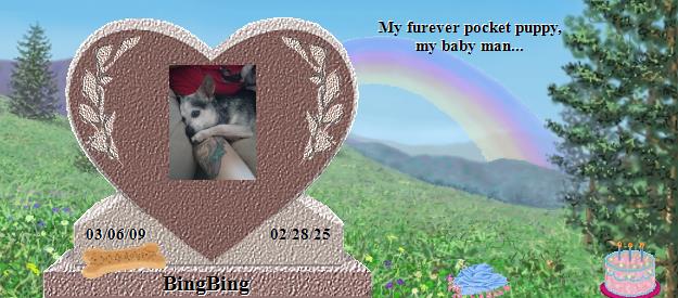BingBing's Rainbow Bridge Pet Loss Memorial Residency Image