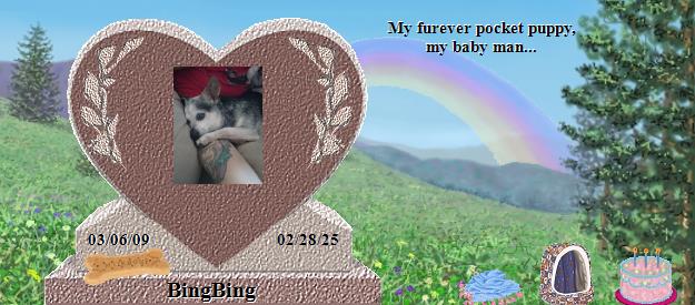 BingBing's Rainbow Bridge Pet Loss Memorial Residency Image