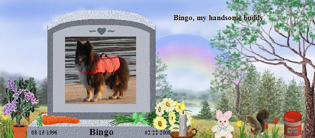 Bingo's Rainbow Bridge Pet Loss Memorial Residency Image