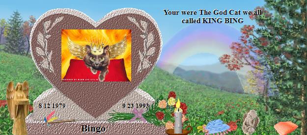 Bingo's Rainbow Bridge Pet Loss Memorial Residency Image