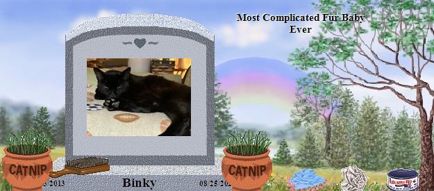 Binky's Rainbow Bridge Pet Loss Memorial Residency Image