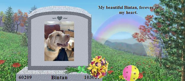 Bintan's Rainbow Bridge Pet Loss Memorial Residency Image