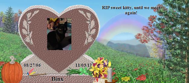 Binx's Rainbow Bridge Pet Loss Memorial Residency Image
