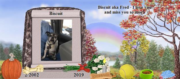 Biscuit's Rainbow Bridge Pet Loss Memorial Residency Image