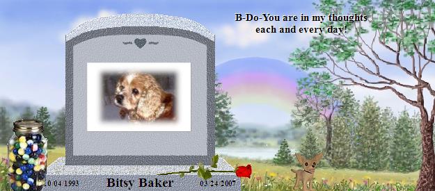 Bitsy Baker's Rainbow Bridge Pet Loss Memorial Residency Image
