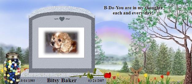 Bitsy Baker's Rainbow Bridge Pet Loss Memorial Residency Image