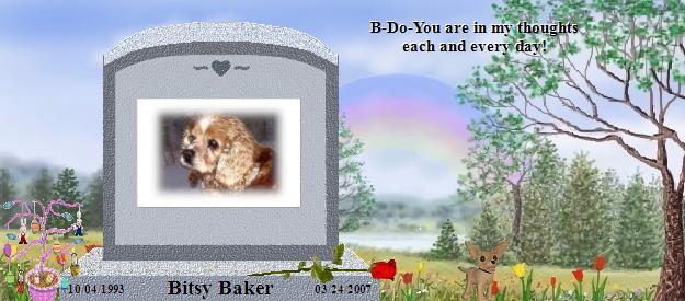 Bitsy Baker's Rainbow Bridge Pet Loss Memorial Residency Image