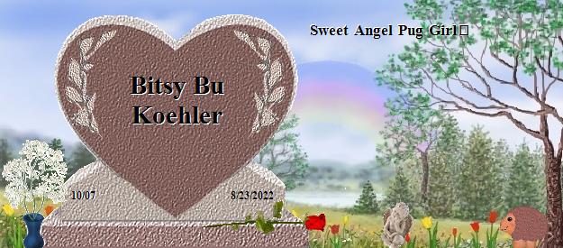 Bitsy Bu Koehler's Rainbow Bridge Pet Loss Memorial Residency Image
