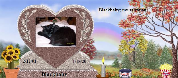 Blackbaby's Rainbow Bridge Pet Loss Memorial Residency Image