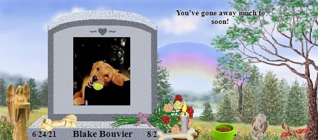 Blake Bouvier's Rainbow Bridge Pet Loss Memorial Residency Image