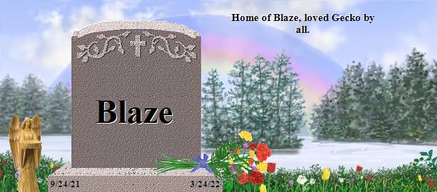 Blaze's Rainbow Bridge Pet Loss Memorial Residency Image