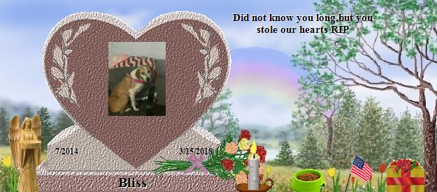 Bliss's Rainbow Bridge Pet Loss Memorial Residency Image