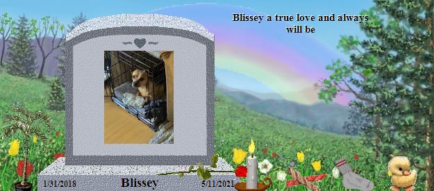 Blissey's Rainbow Bridge Pet Loss Memorial Residency Image