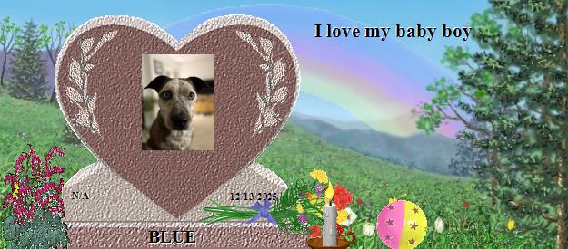 BLUE's Rainbow Bridge Pet Loss Memorial Residency Image