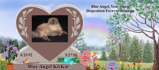 Blue Angel KitKat's Rainbow Bridge Pet Loss Memorial Residency Image