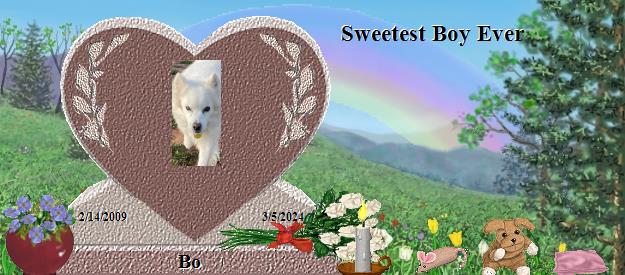 Bo's Rainbow Bridge Pet Loss Memorial Residency Image
