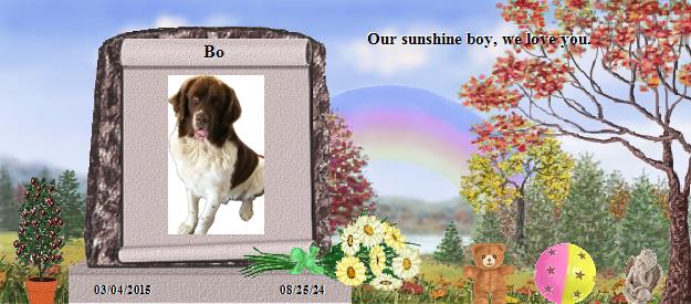 Bo's Rainbow Bridge Pet Loss Memorial Residency Image