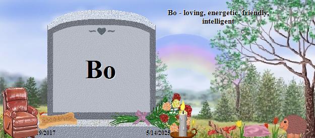 Bo's Rainbow Bridge Pet Loss Memorial Residency Image