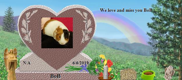 BoB's Rainbow Bridge Pet Loss Memorial Residency Image