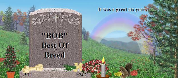 "BOB"     Best Of Breed's Rainbow Bridge Pet Loss Memorial Residency Image