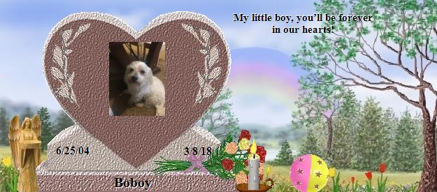 Boboy's Rainbow Bridge Pet Loss Memorial Residency Image