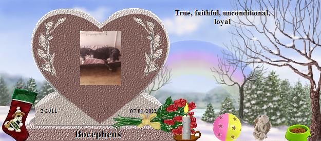 Bocepheus's Rainbow Bridge Pet Loss Memorial Residency Image