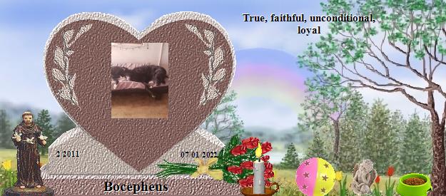 Bocepheus's Rainbow Bridge Pet Loss Memorial Residency Image