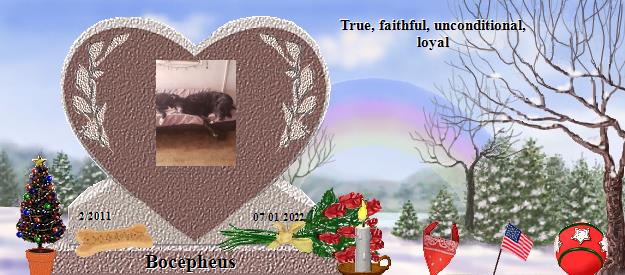 Bocepheus's Rainbow Bridge Pet Loss Memorial Residency Image