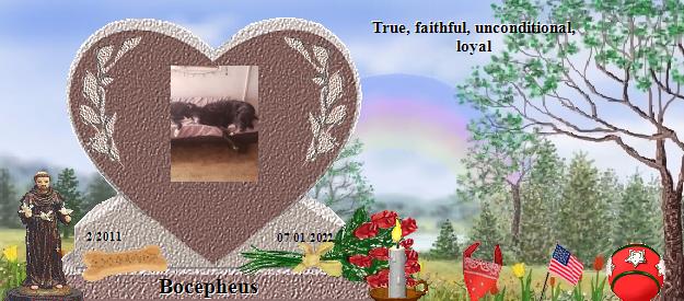 Bocepheus's Rainbow Bridge Pet Loss Memorial Residency Image